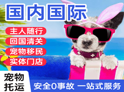 三源浦航空空运国际宠物托运 【国